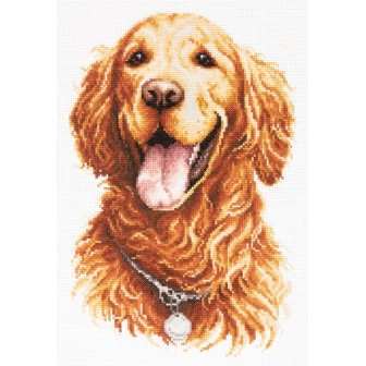 Embroidery kit Golden Retriever