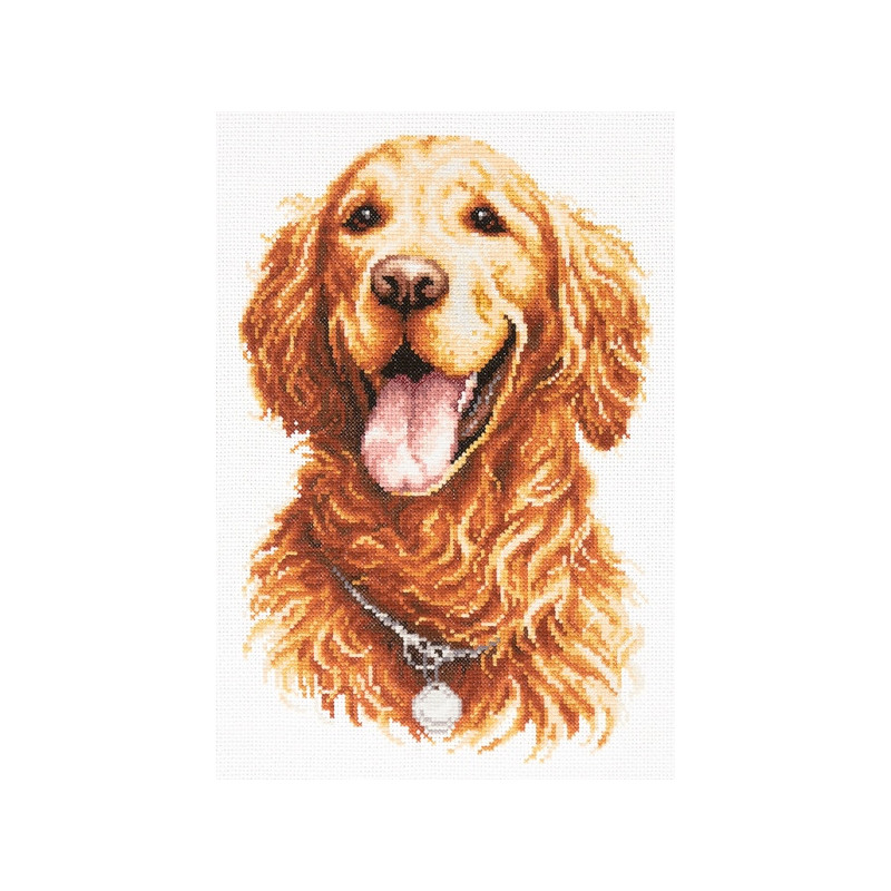 Kit de broderie Golden retriever Kit de broderie Golden retriever