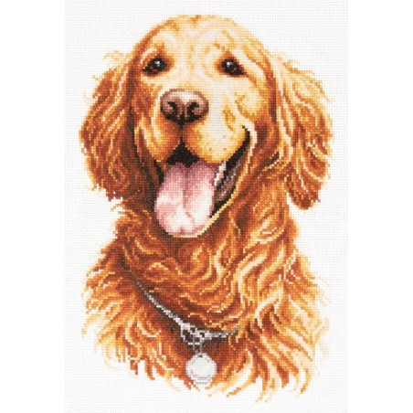 Embroidery kit Golden Retriever