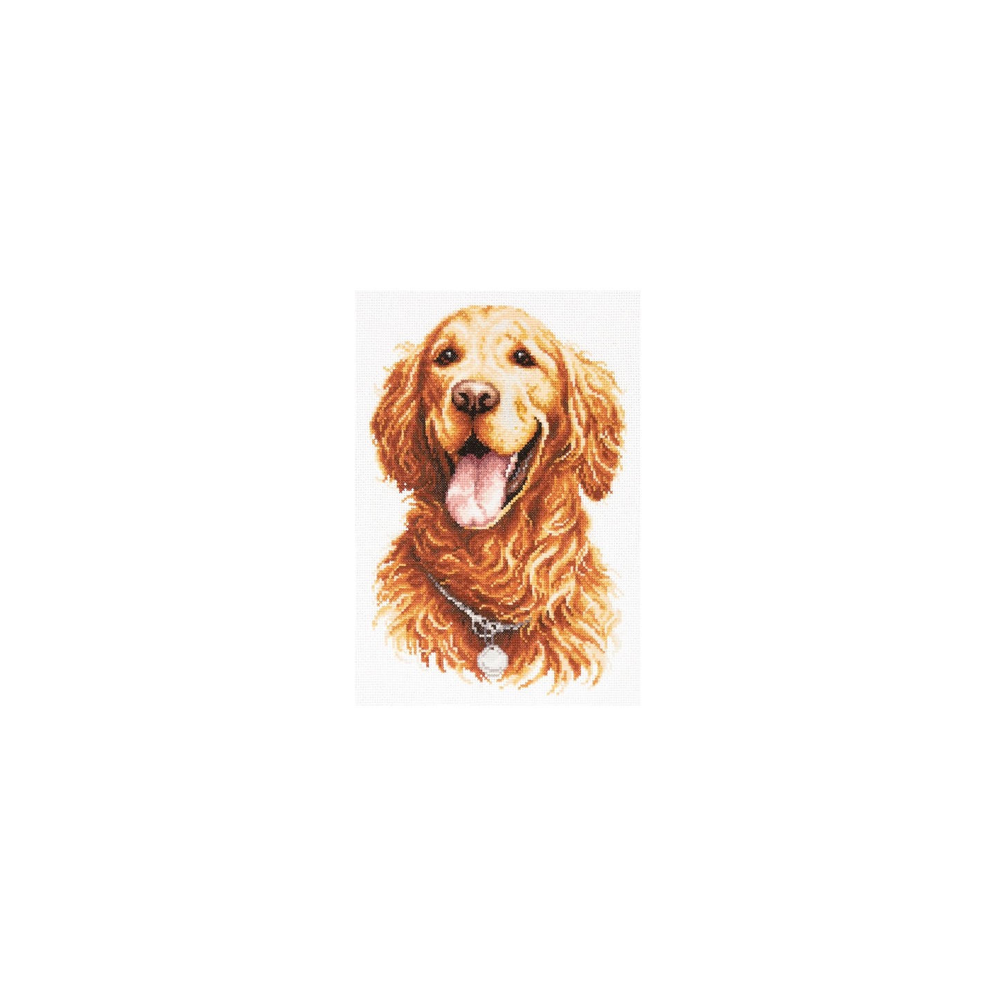 Kit de broderie Golden retriever