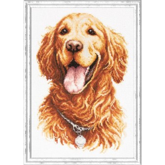 Embroidery kit Golden Retriever