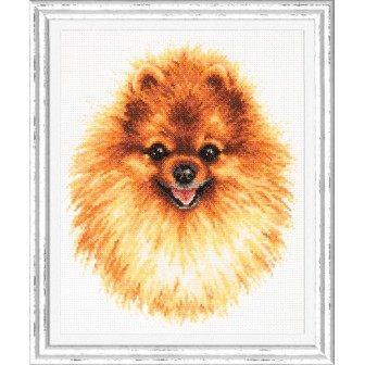 Embroidery kit Pomeranian