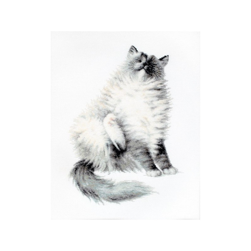 Kit de broderie Micky Kit de broderie Micky