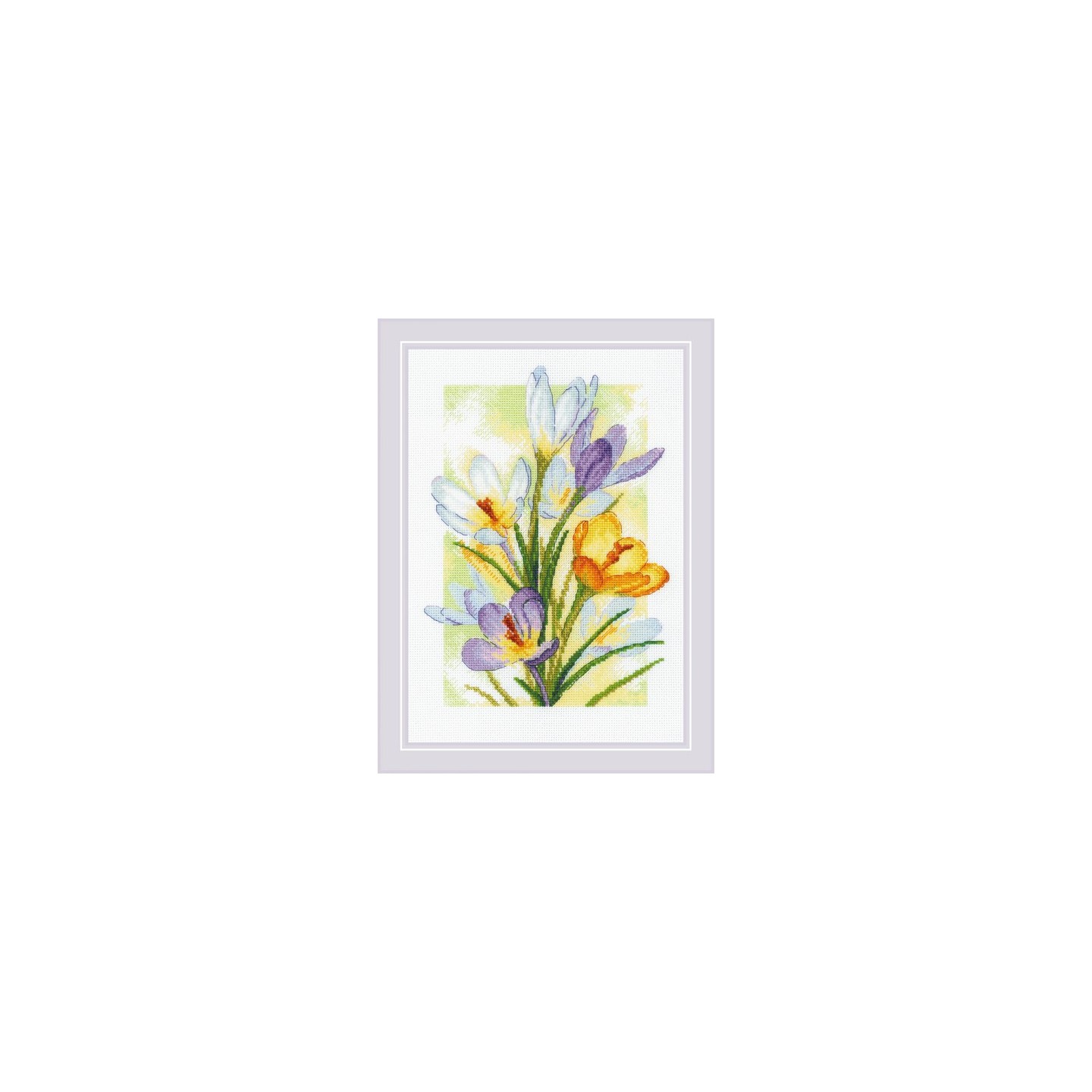 Riolis Kit de broderie Crocus à la lueur printanière
