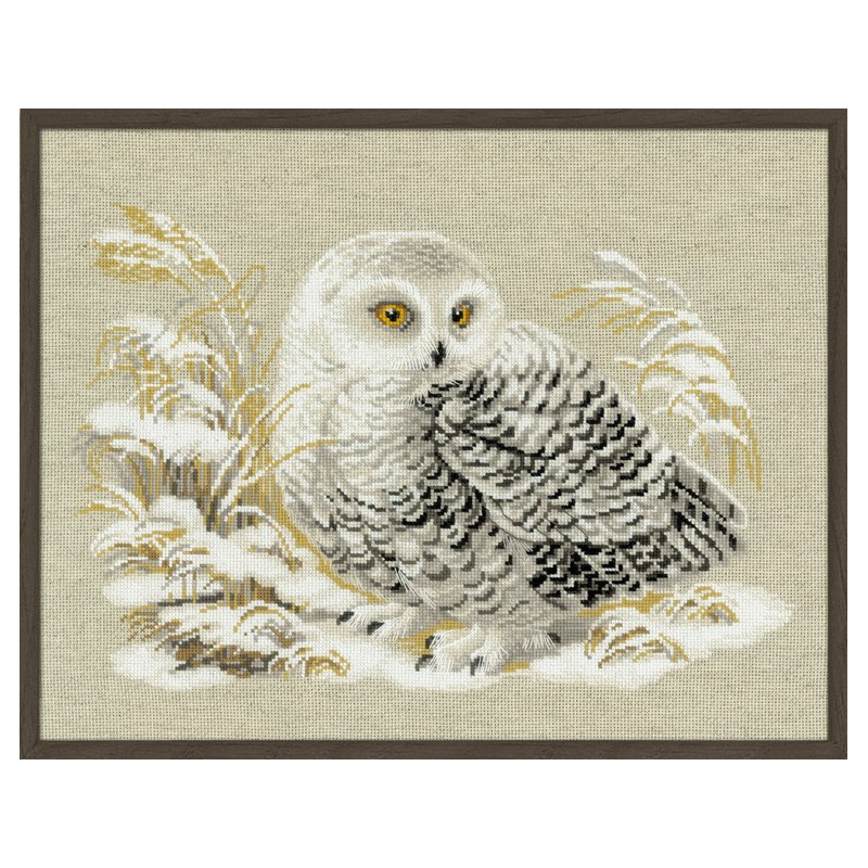 Borduurpakket Witte Uil