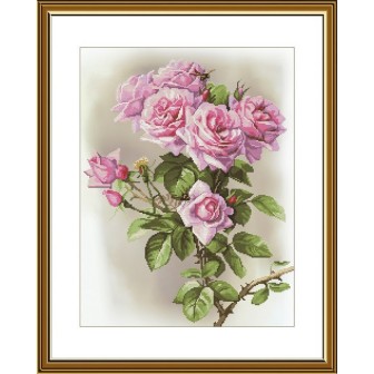 Kit de broderie Sonate rose