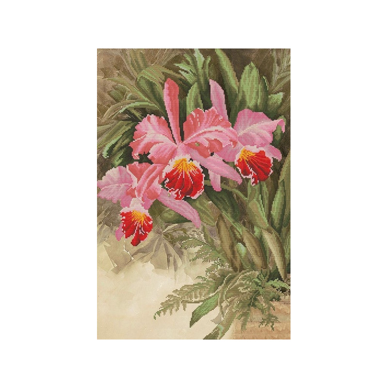 Borduurpakket Tropische orchidee Borduurpakket Tropische orchidee