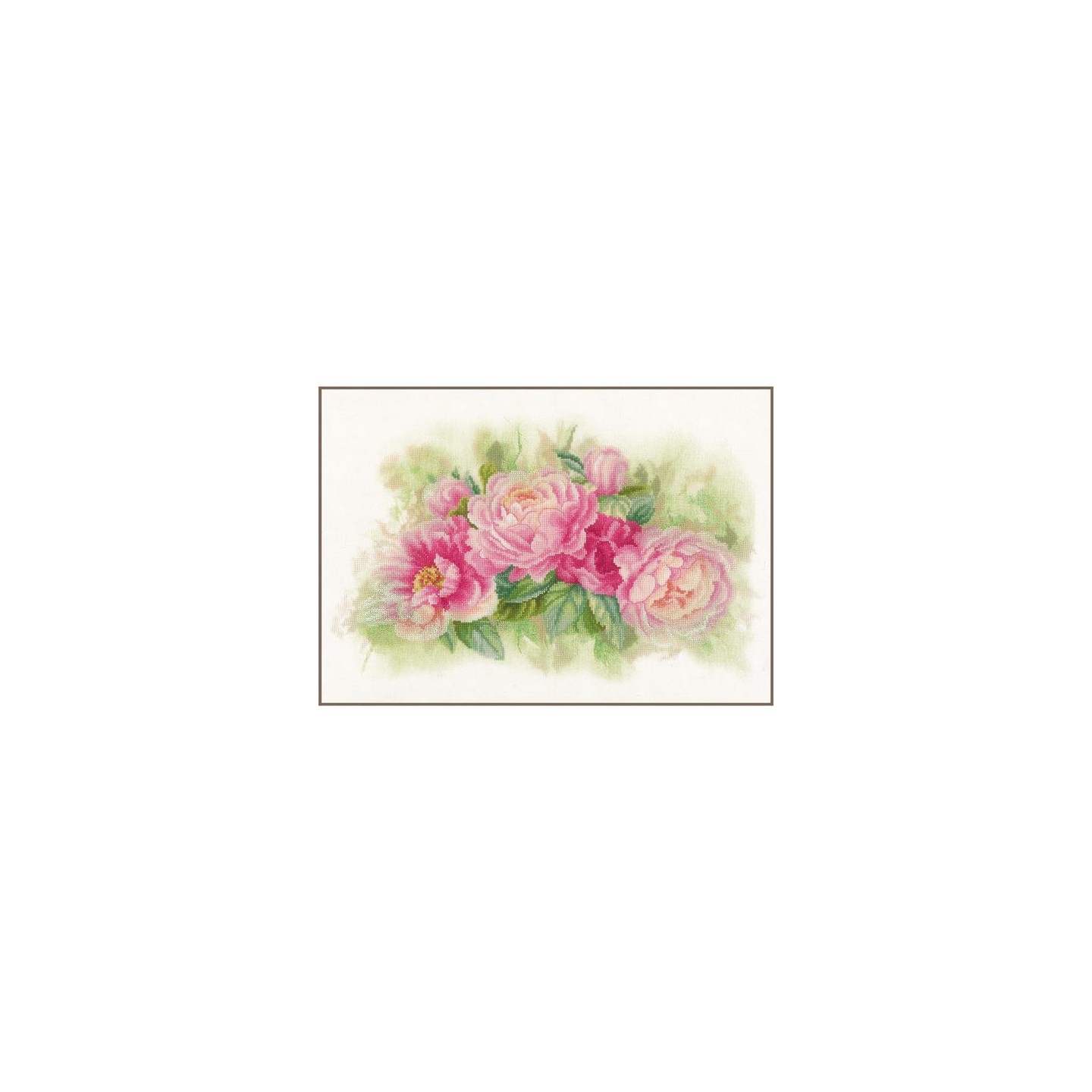 Kit de broderie Pivoines