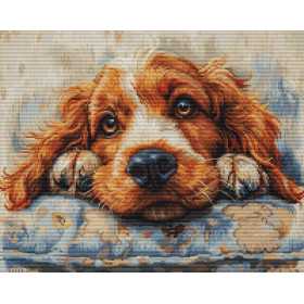Luca-S Stickset Cocker Spaniel