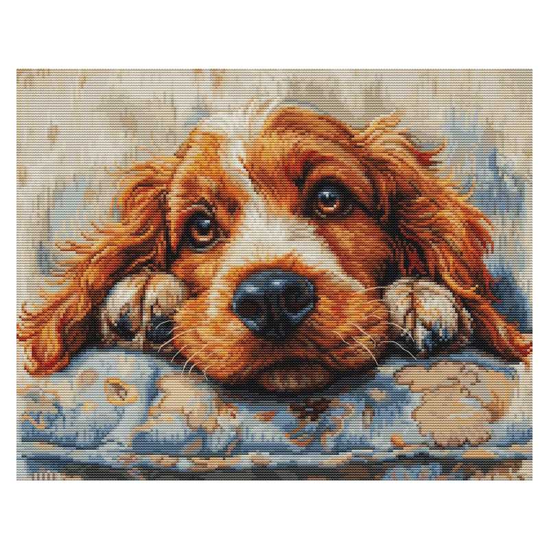 Kit de broderie Cocker Spaniel