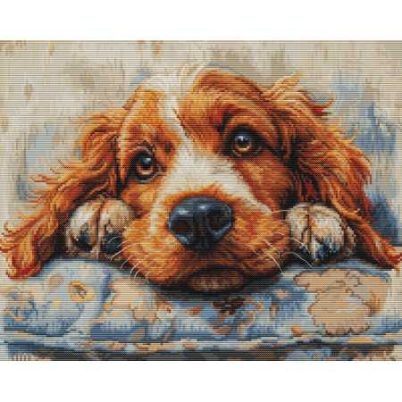 Embroidery kit Cocker Spaniel
