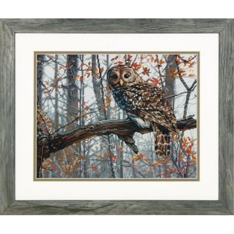 Kit de broderie Hibou sage