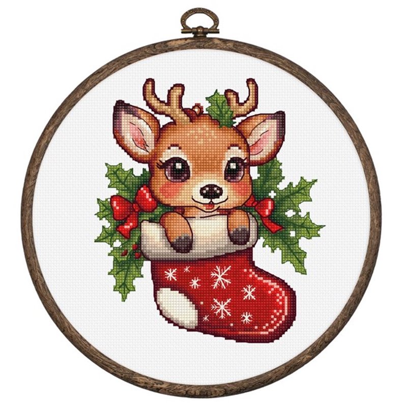 Embroidery kit Santa's Surprise