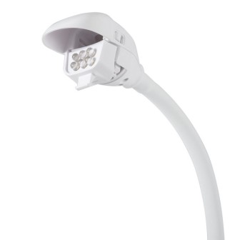 Multi-use magnifying lamp
