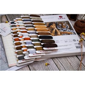Embroidery kit The Indian Princess and The Royal Tiger