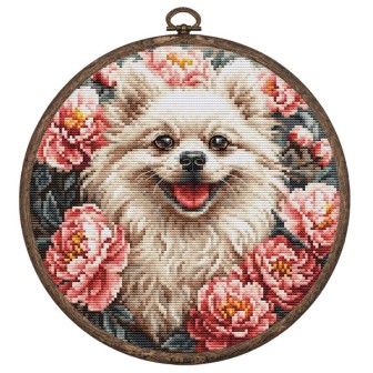 Luca-S Borduurpakket Spitz