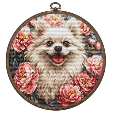 Luca-S Stickset Spitz