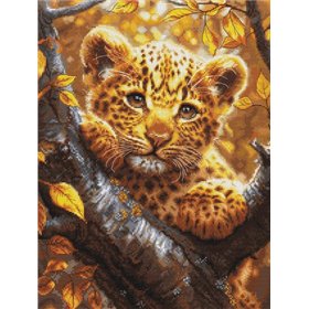 Luca-S Stickset Leopardenjunges bei Sonnenaufgang