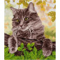 Borduurpakket Kat