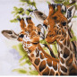 Embroidery kit Giraffes Embroidery kit Giraffes
