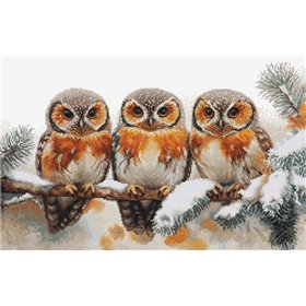 Luca-S Embroidery kit Owls in The Silence of Winter