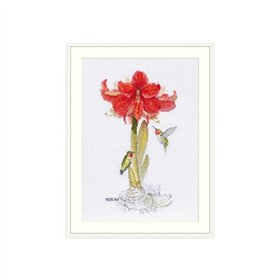 Merejka Borduurpakket Amaryllis 