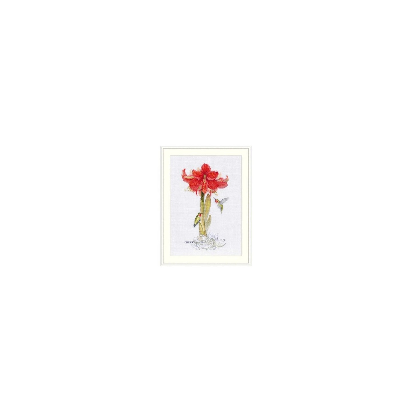 Merejka Borduurpakket Amaryllis 