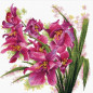 Borduurpakket Prachtige orchideeën Borduurpakket Prachtige orchideeën