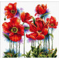 Kit de broderie De jolis coquelicots