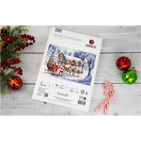 Borduurpakket Kerstman op bezoek