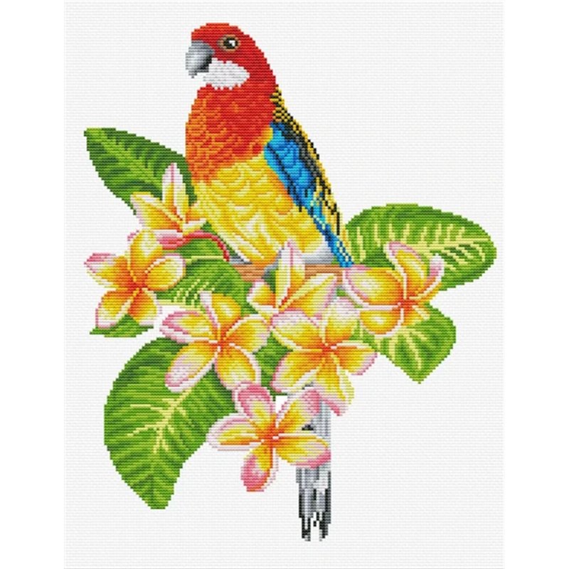 Stickset Frangipanni Rosella