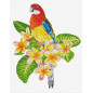 Stickset Frangipanni Rosella