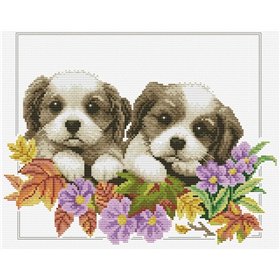 Kit de broderie Chiots qui regardent