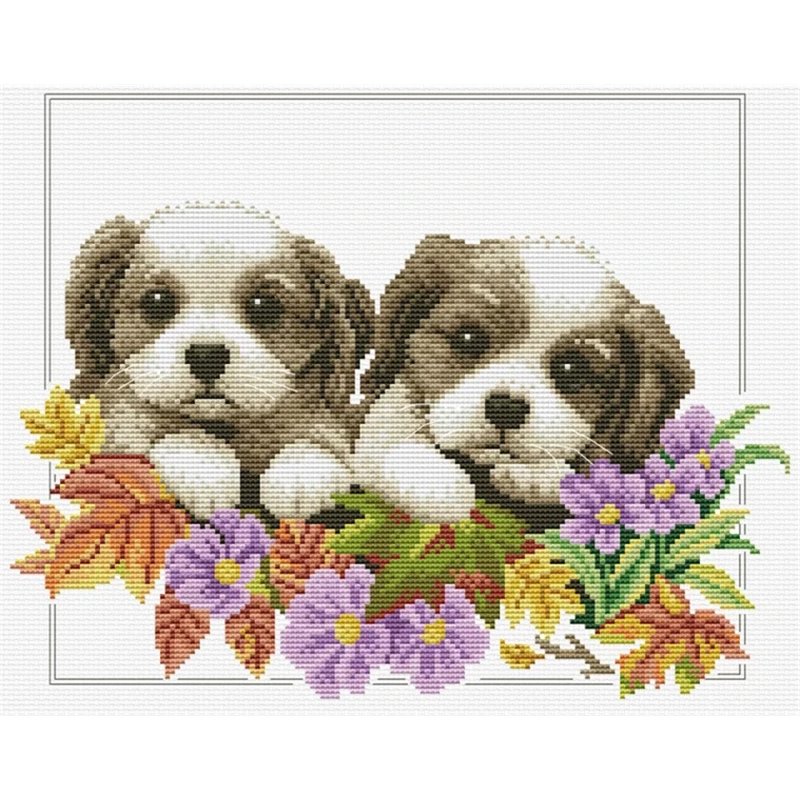 Kit de broderie Chiots qui regardent