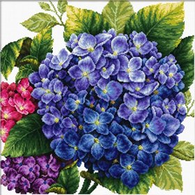 Kit de broderie Hortensia