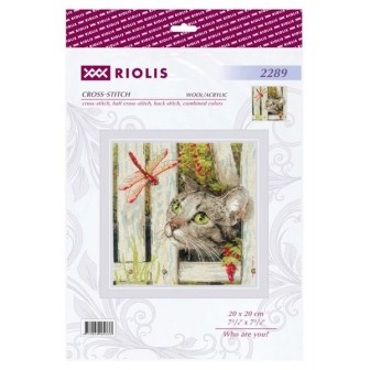 Riolis Borduurpakket Wie ben jij?