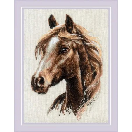 Riolis Kit de broderie Esprit rebelle