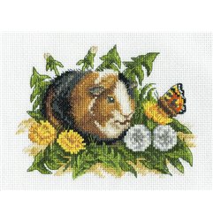 Stickset Meerschweinchen