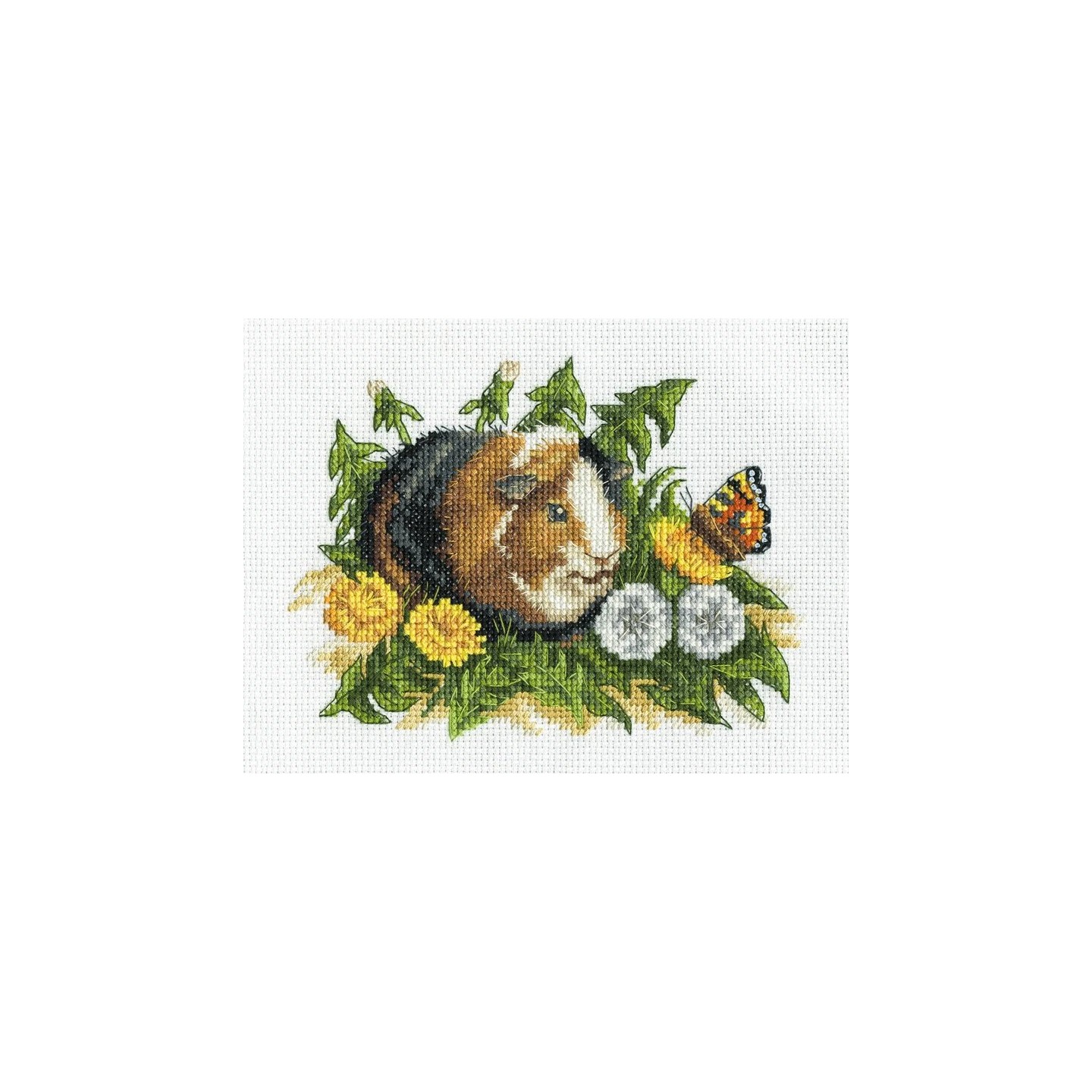 Kit de broderie Cobaye