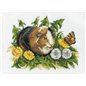 Borduurpakket Cavia Borduurpakket Cavia