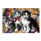 Kit tapis au point noué Chats 4131