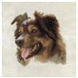 Kit e broderie Berger anglais