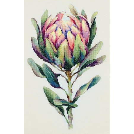 Borduurpakket Protea