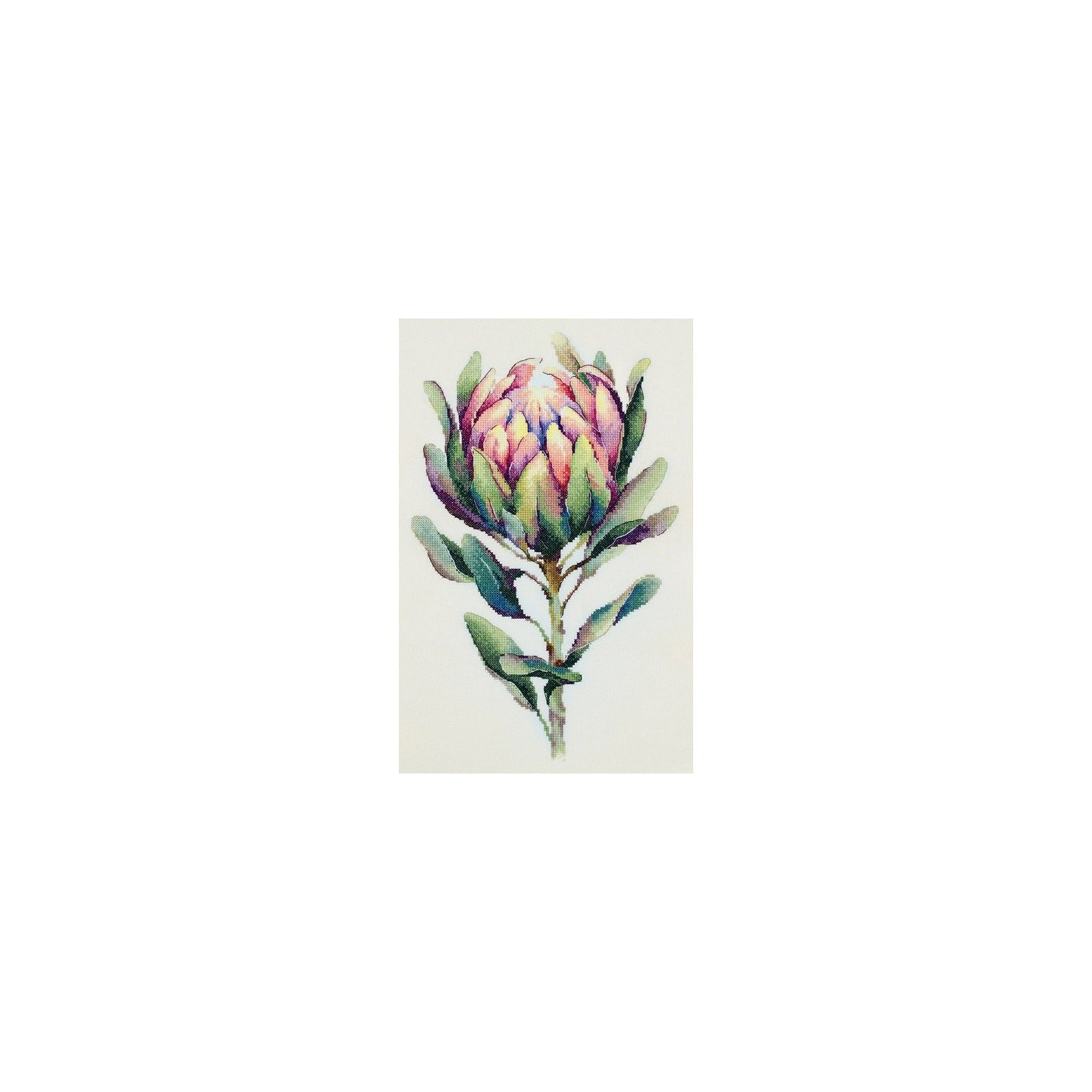 Stickset Protea