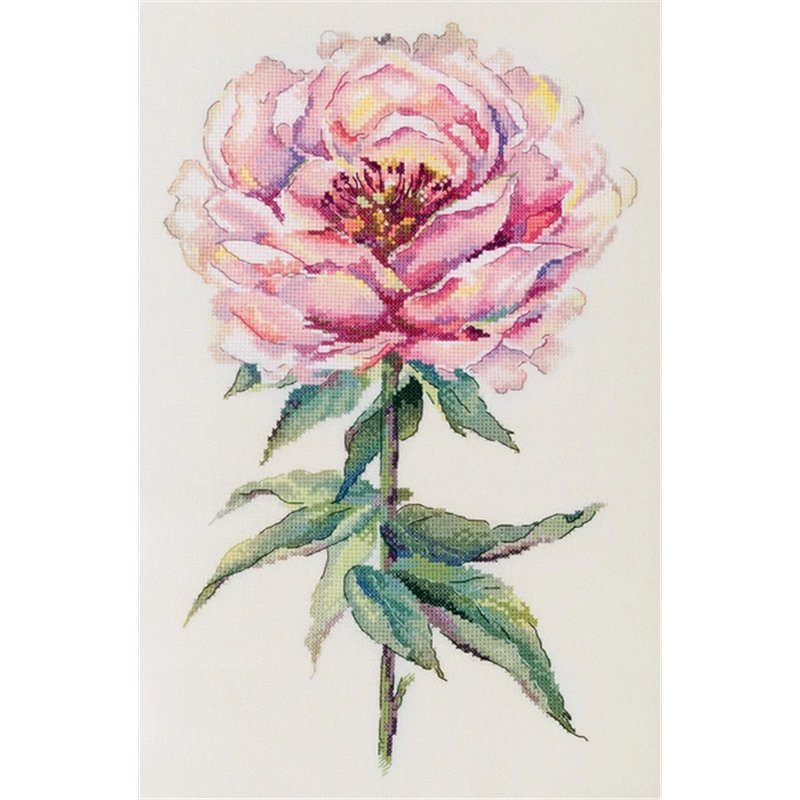 Embroidery kit Peony