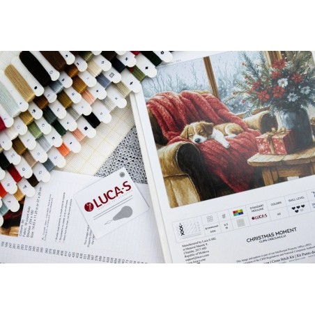 Embroidery kit Christmas Moment (petit point)