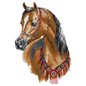 Stickset Arabisches Pferd Stickset Arabisches Pferd