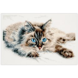 Kit de broderie Bonheur tout doux