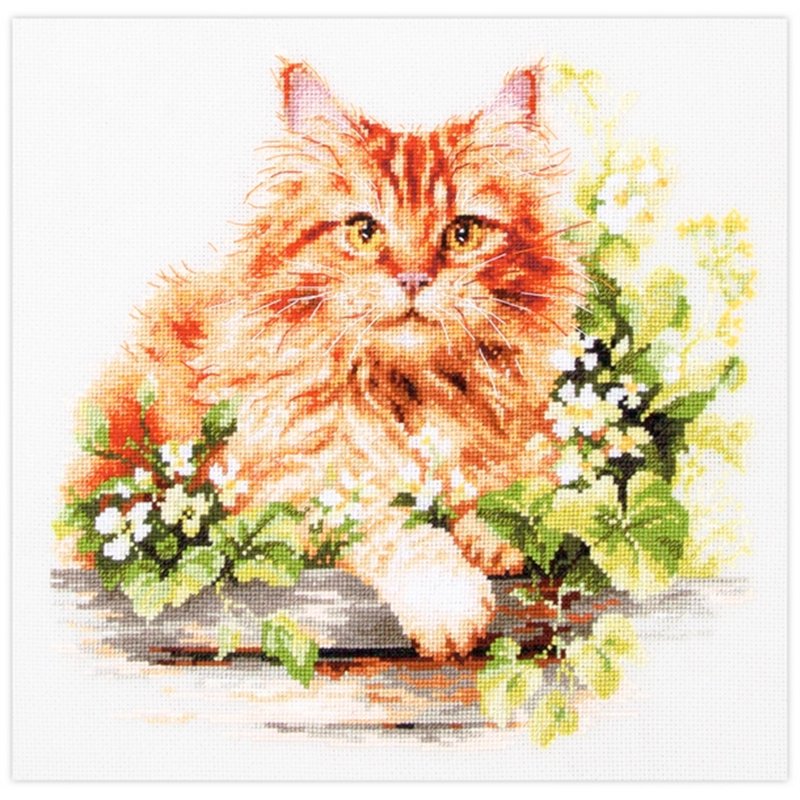 Borduurpakket De rode kat Borduurpakket De rode kat