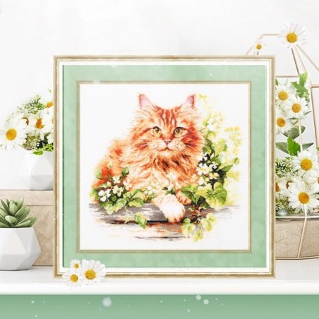 Borduurpakket De rode kat